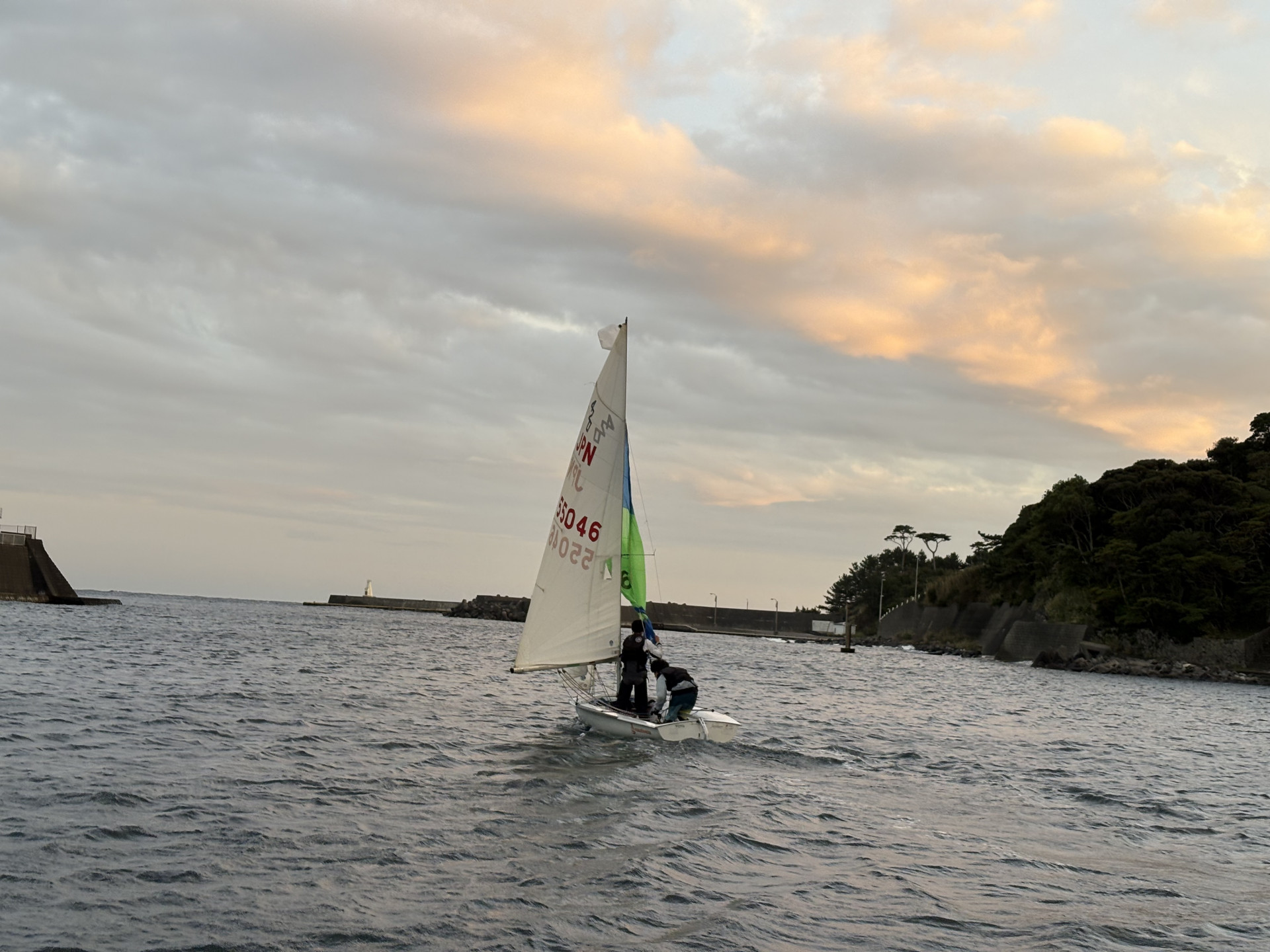 画像 -20251106-073916-d8f79800